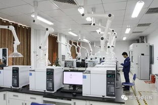 一季度鄂爾多斯經(jīng)濟(jì)運(yùn)行總體平穩(wěn)向好，計(jì)算機(jī)系統(tǒng)集成產(chǎn)業(yè)展現(xiàn)活力